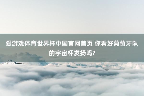 爱游戏体育世界杯中国官网首页 你看好葡萄牙队的宇宙杯发扬吗?