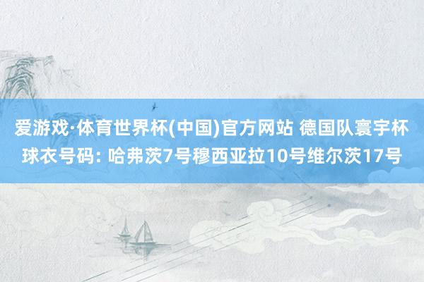 爱游戏·体育世界杯(中国)官方网站 德国队寰宇杯球衣号码: 哈弗茨7号穆西亚拉10号维尔茨17号