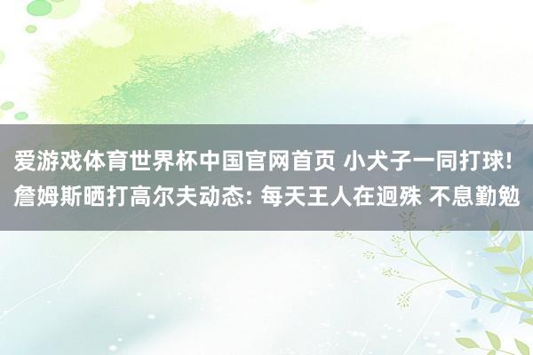 爱游戏体育世界杯中国官网首页 小犬子一同打球! 詹姆斯晒打高尔夫动态: 每天王人在迥殊 不息勤勉