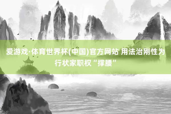 爱游戏·体育世界杯(中国)官方网站 用法治刚性为行状家职权“撑腰”