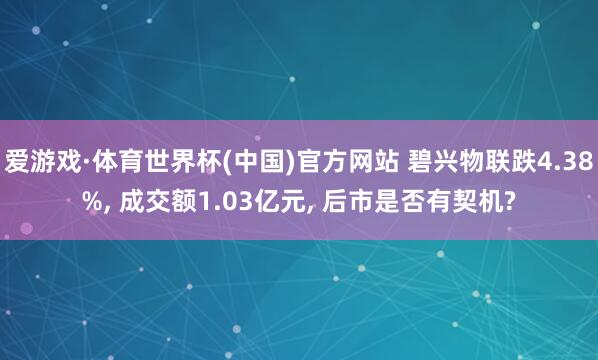 爱游戏·体育世界杯(中国)官方网站 碧兴物联跌4.38%, 成交额1.03亿元, 后市是否有契机?