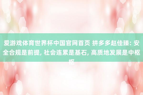 爱游戏体育世界杯中国官网首页 拼多多赵佳臻: 安全合规是前提, 社会连累是基石, 高质地发展是中枢