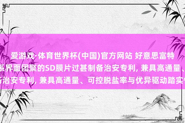 爱游戏·体育世界杯(中国)官方网站 好意思富特膜请求基于协同醇相体系界面团聚的SD膜片过甚制备治安专利, 兼具高通量、可控脱盐率与优异驱动踏实性