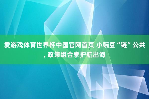 爱游戏体育世界杯中国官网首页 小豌豆“链”公共, 政策组合拳护航出海