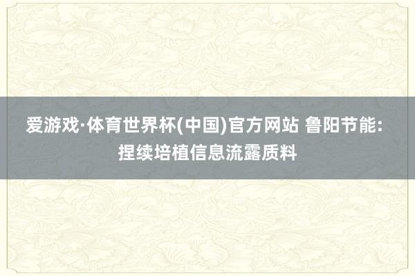 爱游戏·体育世界杯(中国)官方网站 鲁阳节能: 捏续培植信息流露质料