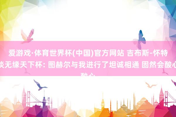 爱游戏·体育世界杯(中国)官方网站 吉布斯-怀特谈无缘天下杯: 图赫尔与我进行了坦诚相通 固然会酸心