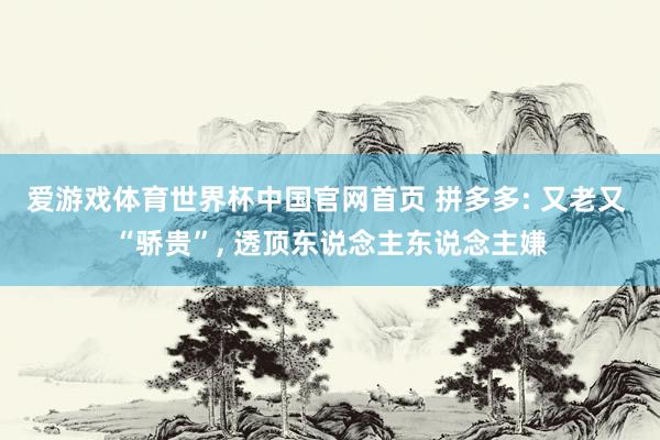 爱游戏体育世界杯中国官网首页 拼多多: 又老又 “骄贵”, 透顶东说念主东说念主嫌