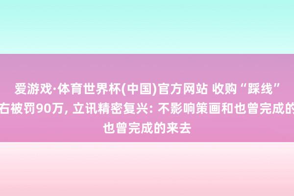 爱游戏·体育世界杯(中国)官方网站 收购“踩线”反左右被罚90万, 立讯精密复兴: 不影响策画和也曾完成的来去