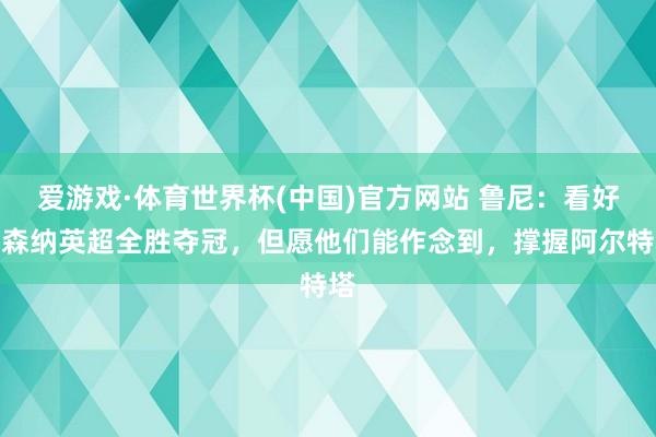 爱游戏·体育世界杯(中国)官方网站 鲁尼：看好阿森纳英超全胜夺冠，但愿他们能作念到，撑握阿尔特塔