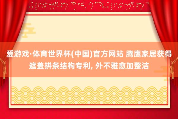 爱游戏·体育世界杯(中国)官方网站 腾鹰家居获得遮盖拼条结构专利, 外不雅愈加整洁