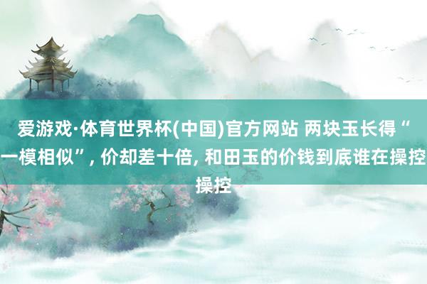 爱游戏·体育世界杯(中国)官方网站 两块玉长得“一模相似”, 价却差十倍, 和田玉的价钱到底谁在操控