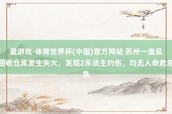 爱游戏·体育世界杯(中国)官方网站 苏州一废品回收仓库发生失火，发现2东谈主灼伤，<a href=