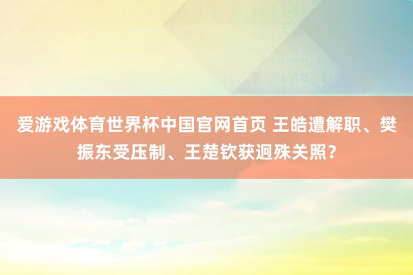 爱游戏体育世界杯中国官网首页 王皓遭解职、樊振东受压制、王楚钦获迥殊关照？