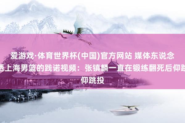 爱游戏·体育世界杯(中国)官方网站 媒体东说念主晒上海男篮的践诺视频：张镇麟一直在锻练翻死后仰跳投