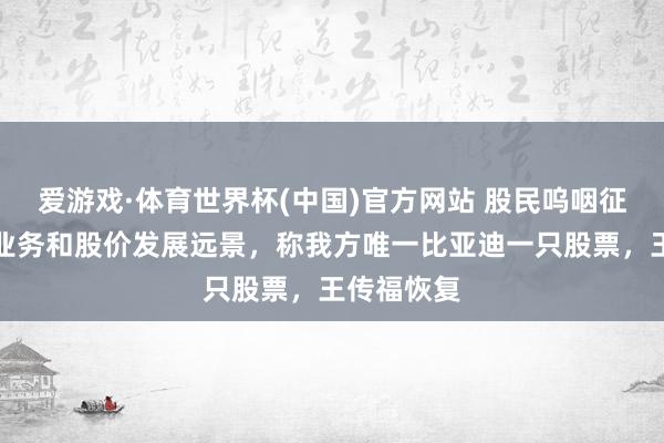 爱游戏·体育世界杯(中国)官方网站 股民呜咽征询比亚迪业务和股价发展远景,称我方唯一比亚迪一只股票,王传福恢复