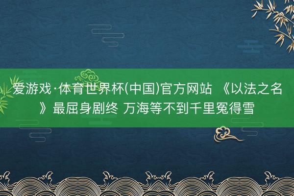 爱游戏·体育世界杯(中国)官方网站 《以法之名》最屈身剧终 万海等不到千里冤得雪