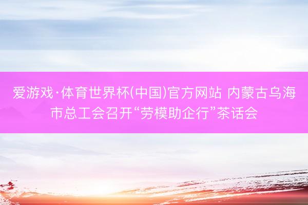 爱游戏·体育世界杯(中国)官方网站 内蒙古乌海市总工会召开“劳模助企行”茶话会